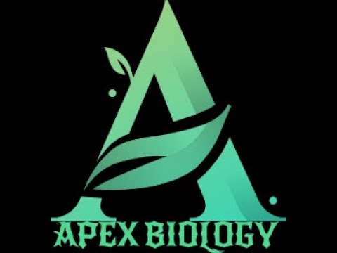 Apex Biology Answer Key
