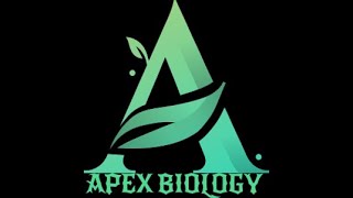 APEX BIOLOGY