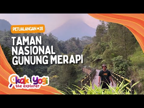 Kak Yogi The Explorer #28: Taman Nasional Gunung Merapi