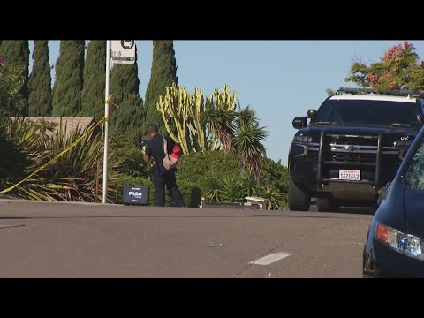 One child dead, two injured after being hit by car near Lake Murray