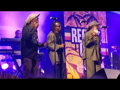 The Rockers - HIt the Road Jack live Reggae Geel 2019