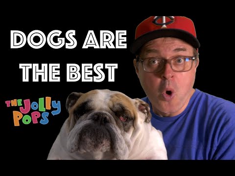 The Jolly Pops - "DOGS ARE THE BEST" [Official Music Video]