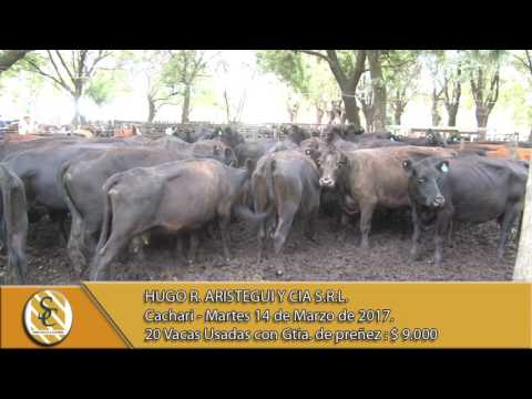 14-03-17 Venta de Vientres - Hugo R. Aristegui y Cia S.R.L. - Cachari.