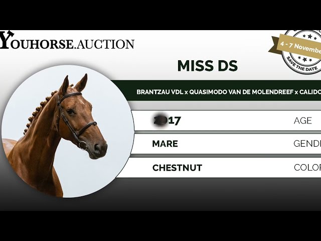 Miss DS
