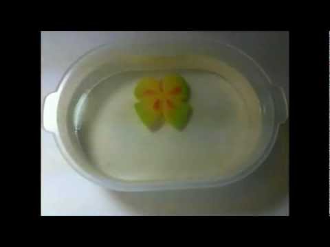 Time lapse fake butterfly growing