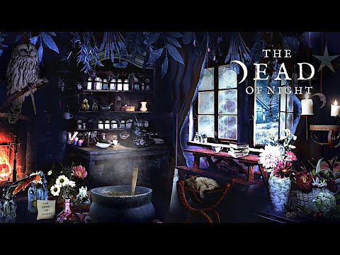 Winter Witch Cottage Ambience 🧹❄️🦉 | Witchcore Aesthetic & Sounds