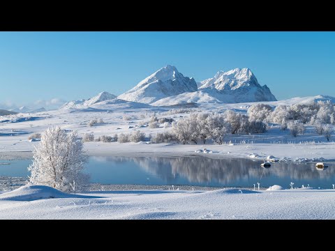 Lofoten im Februar 2022 - Eine Winterreise in Bildern