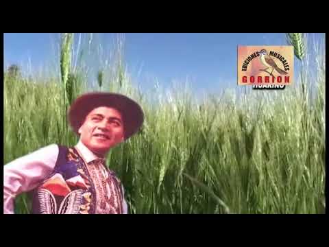 GORRIÓN ANDINO - LOS JILGUEROS DEL HUALCÁN - AMANECER ANCASHINO