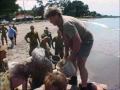 THE CROCODILE HUNTER