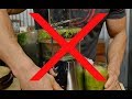The TRUTH Behind Why Detox Juices Do More Harm Than Good