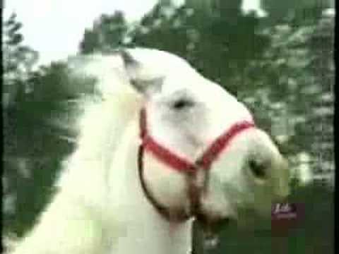 Germano Mosconi Cavallo Bianco
