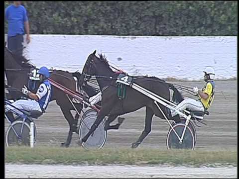 Trotto 16/06/2016 - 1° corsa