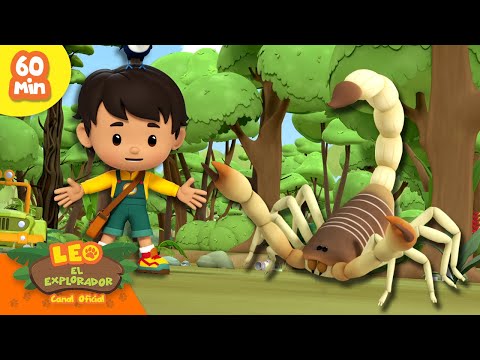 ¡CUIDADO CON LA PICADURA VENENOSA DEL ALACRÁN 🦂 | Peligros Mortales | Leo, El Explorador | Animación