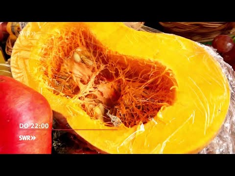 Heilsame Ernährung - gewusst wie mit dem SWR Wissenschaftsmagazin "odysso"