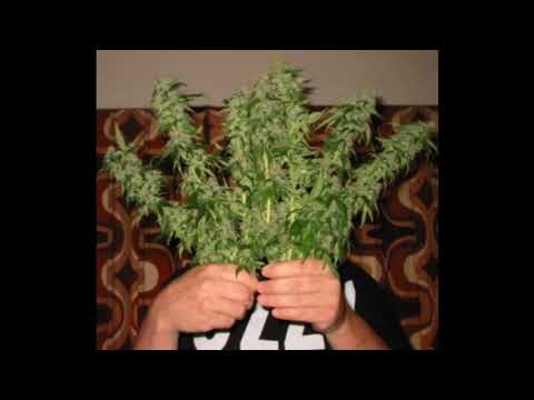 อะไรก็ได้ถ้ามีเธอ - Rastafah