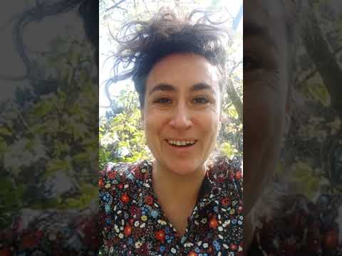 ORTIKA X FESTIVAL BONSAI 2023