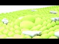 Samsung Logo Balls Pitch Shifting 24 To 24
