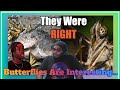 Silva Crow Reacts Why You Owe People Afraid Of Butterflies An Apology Casual Geographic