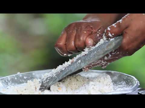 Tout savoir sur la Castanha utilisée par Natura Brasil