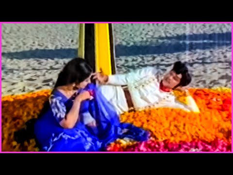 Kanulalo Nee Roopam Song - ANR, Latha Evergreen Superhit Song | Ravanude Ramudaithe Movie Songs