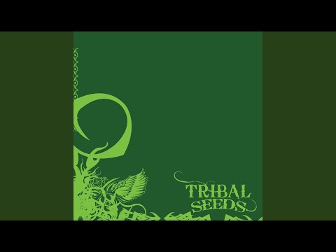 Lost Paradise - Tribal Seeds