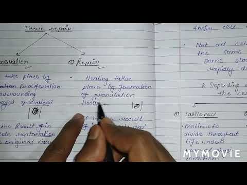 Tissue repair Part -1.../ Tissue healing(Regeneration process)