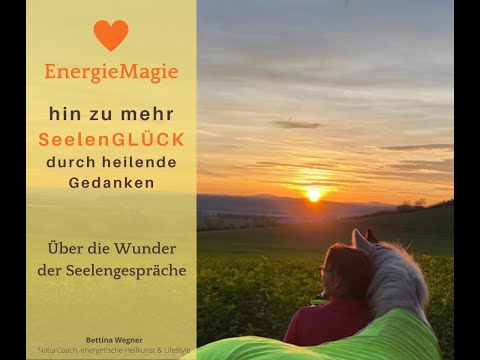SeelenGLÜCK durch heilende Gedanken Tag2 über tierische Seelengespräche