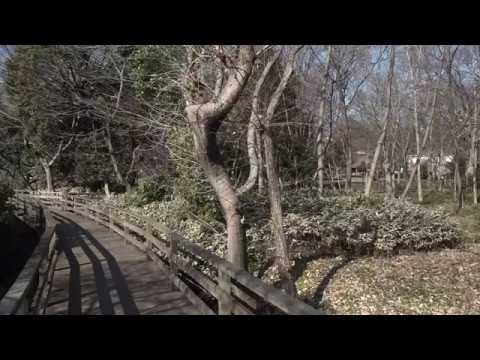 仙波河岸史跡公園