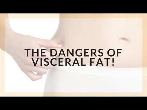 Visceral Obesity: The Hidden Health Risk | Vibepedia