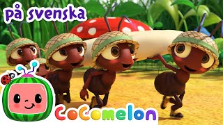 Små myror marcherar | Barnramsor | Sånger för barn | CoComelon Svenska gameplay video by maria.bumbul, 4:12 duration
