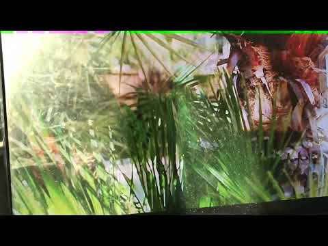 Noboom ft.PrestonPlayz-THE CREW DISS TRACK (OFFICIAL MUSIC VIDEO)