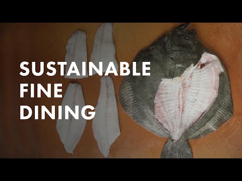 download lagu mp3 mp4 Turbot Sustainable, download lagu Turbot Sustainable gratis, unduh video klip Turbot Sustainable