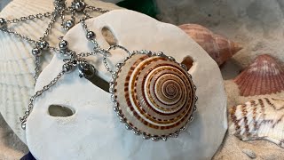 Soft Soldered Sundial Shell