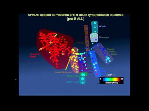 Optimizing Combination Cancer Therapy Based on Single Cell Analysis