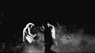 Glasshead - Hydrophobic Mermaid