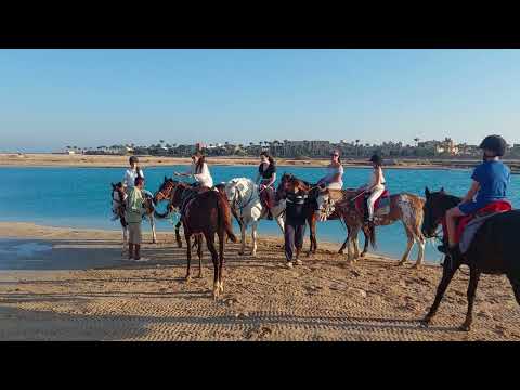 Horse Riding & Camel Riding on beach from Hurghada, Makadi Bay Egypt