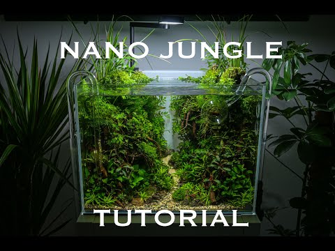 Aquascaping tutorial - AMAZING High-tech NANO JUNGLE tank