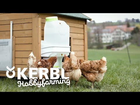 SmartCoop Geflügeltränke 🐔 von Kerbl Hobbyfarming
