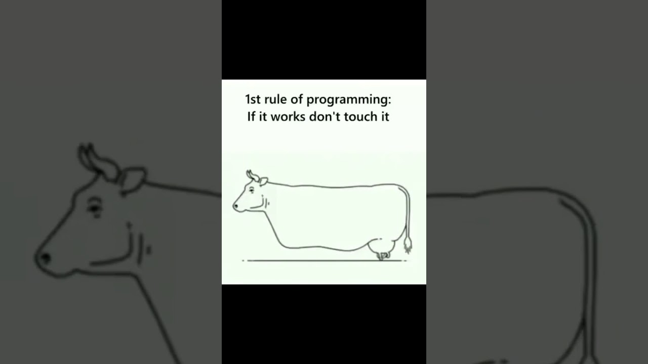 #coding #programming #programmer #codinglife #python #webdevelopment #codingmemes #shorts