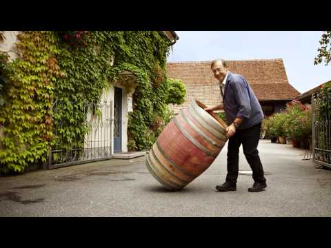 Weingut Dr. Schneider YouTube-Vdeominiatur 5