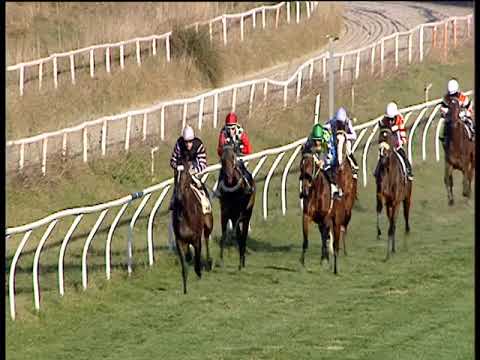 Galoppo 05/01/2019 - 2ª corsa