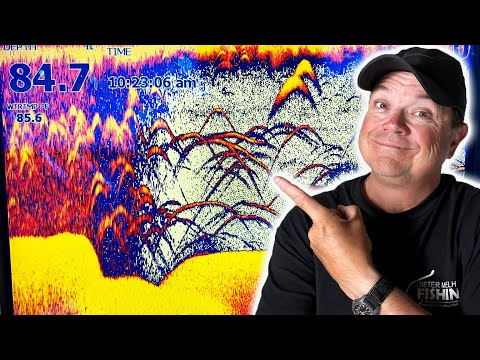 Deep-water Catfishing In Summer: Tips And Tricks For Success