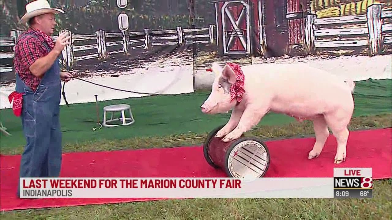 Marion County Fair continues through the weekend-8am