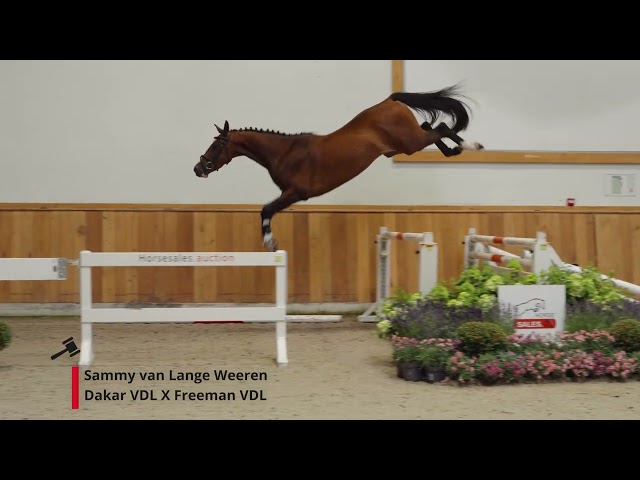 Sammy van Lange Weeren