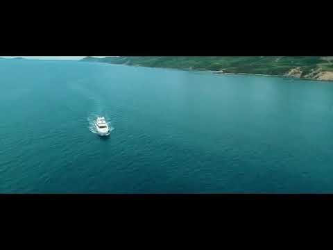 Rina - Ashiqare (Zzap and Cris)