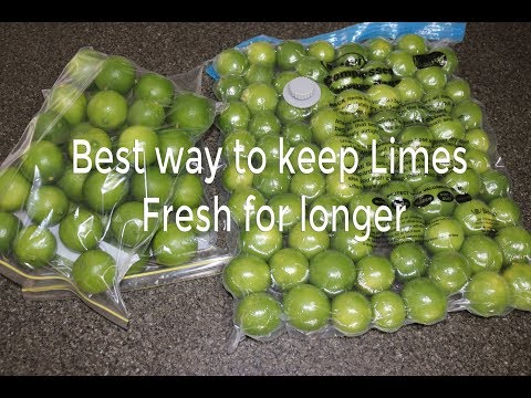 download lagu mp3 mp4 Unripe Lemon Juice, download lagu Unripe Lemon Juice gratis, unduh video klip Unripe Lemon Juice