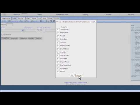 Creating A Basic Report - Part 1 - www.izenda.com
