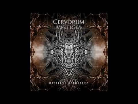 Neverwaz - D.S.I.P. (180 BPM)