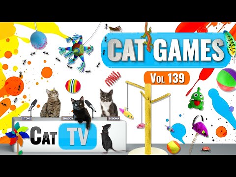 CAT Games | Compilation Ultimate Cat TV Vol 139 | 8 HEURES 🐝🐞🦋🦎🦜🐜🐭🧵