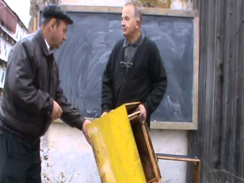 3. Discutie despre transformarea unui stup varsat in stup bio  3/4